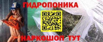 шишки Кинель