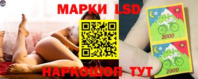 гидра Бийск