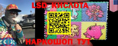 шишки Кинель