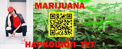 шишки Кинель