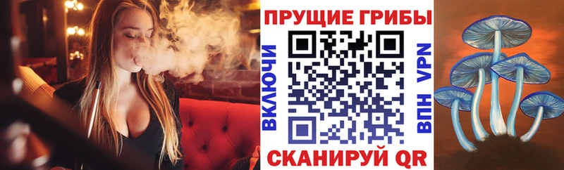 МЕГА вход  Шали  Галлюциногенные грибы Psilocybine cubensis 