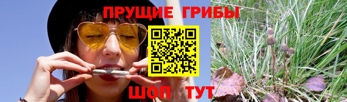 Шали  Галлюциногенные грибы Magic Shrooms  Вход с VPN 