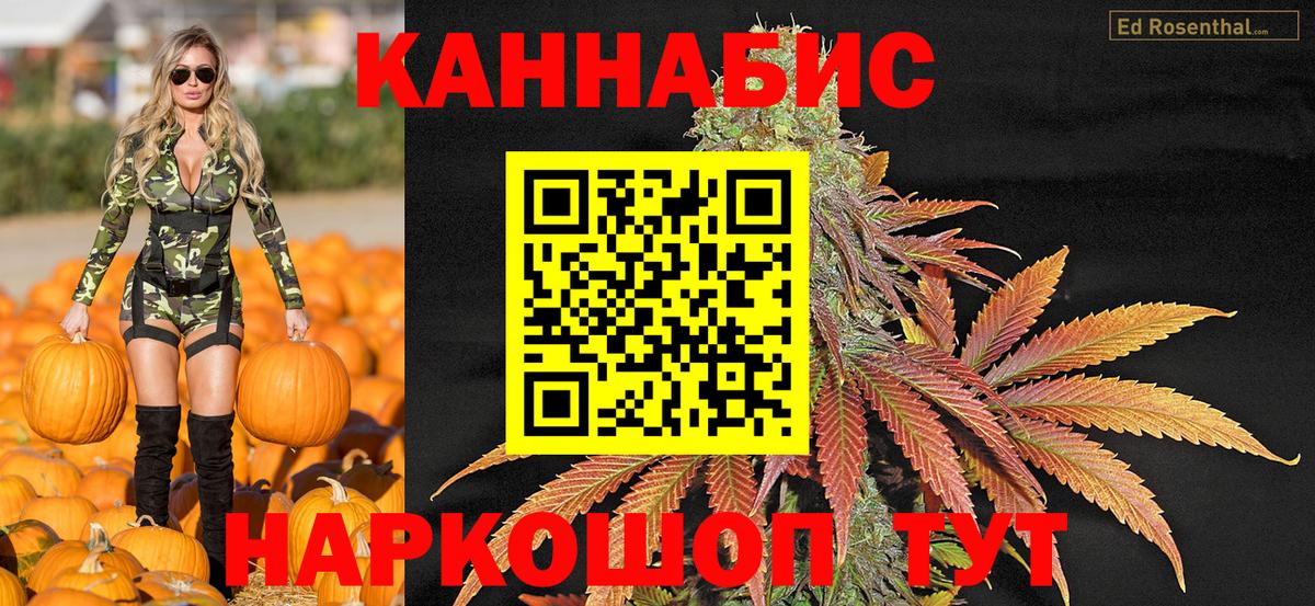 Бошки Шишки VHQ  Шишки марихуана гибрид  Шали 